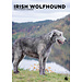 CalendarsRUs Irish Wolfhound Calendario A3 2025