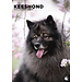 CalendarsRUs Calendario A3 Keeshond 2025