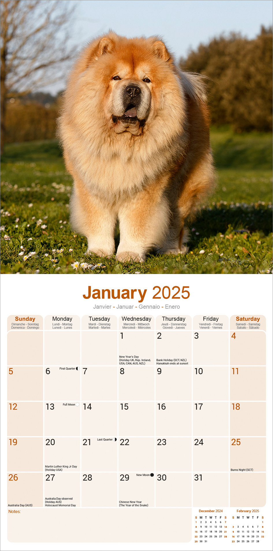 Buying Chow Chow Calendar 2025 photos of the Chow Chow
