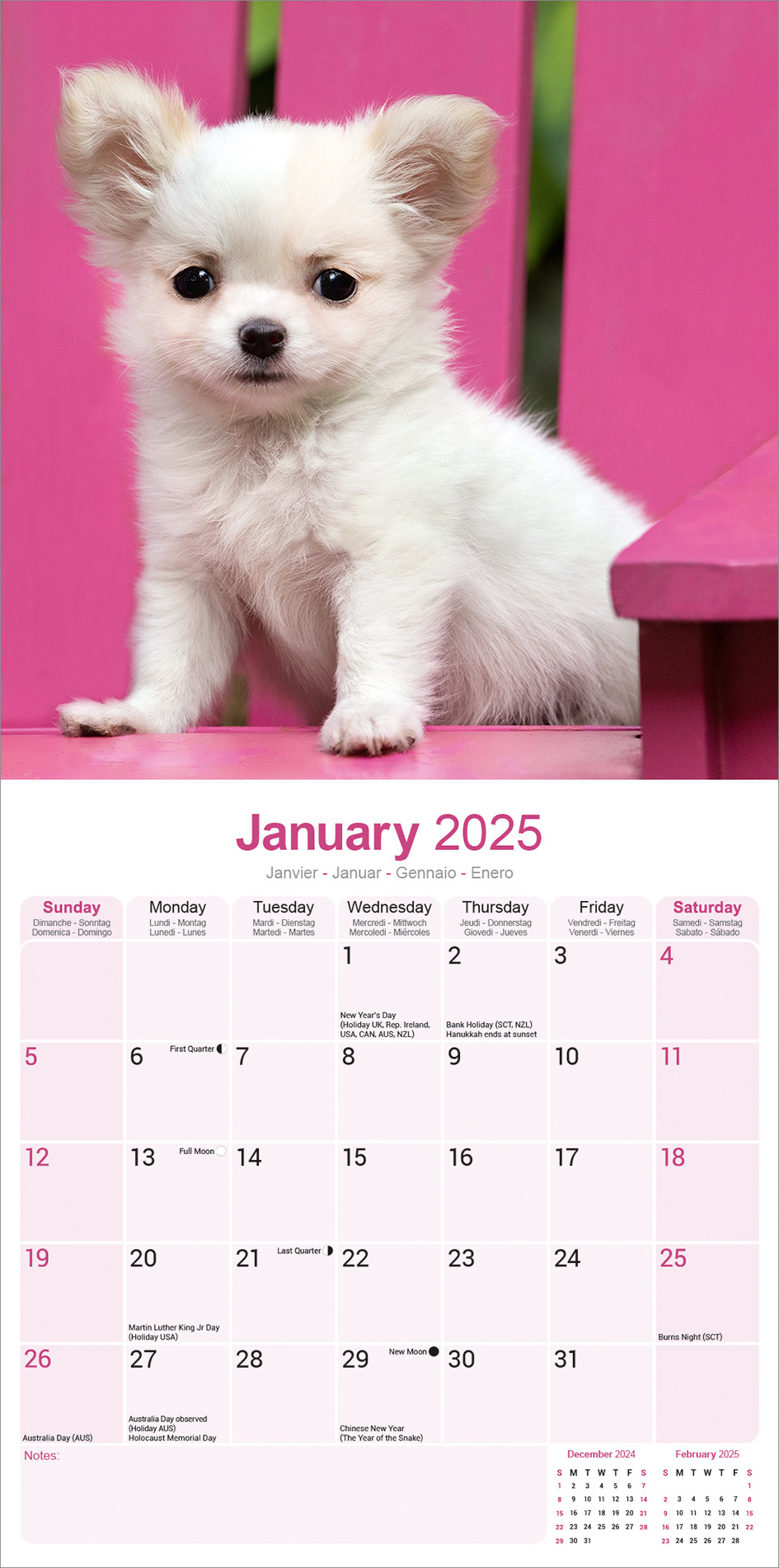 Buy Chihuahua Calendar 2025 order online easily