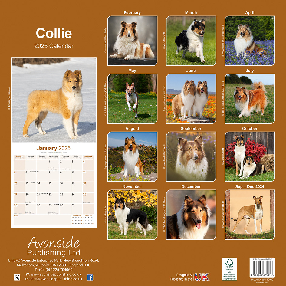Calendrier Berger écossais / Collie 2025 Acheter ? Simplement en ligne