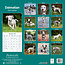 Dalmatian Calendar 2025