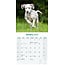 Calendrier Dalmatien 2025