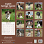 English Springer Spaniel Kalender 2025 (euro)