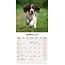 English Springer Spaniel Kalender 2025 (euro)