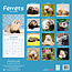 Ferrets Calendar 2025