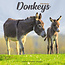 Donkey Calendar 2025