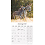 Donkey Calendar 2025