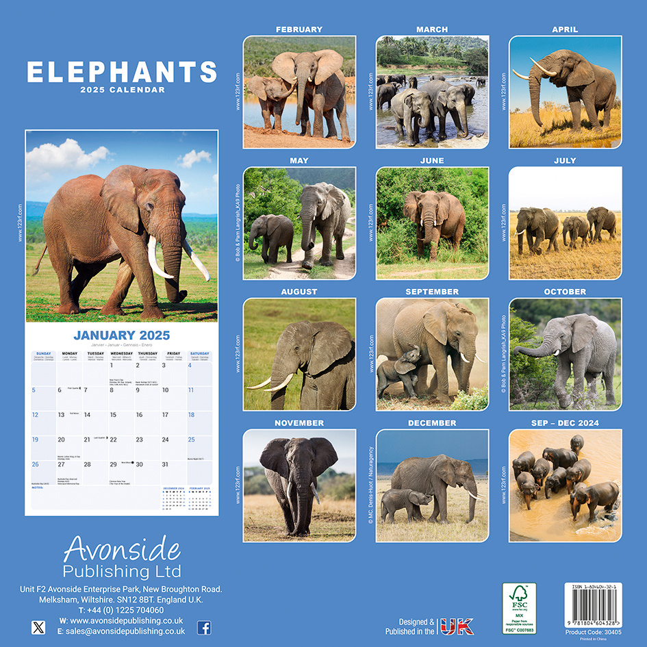 Buying Elephant Calendar 2025 Easily order online