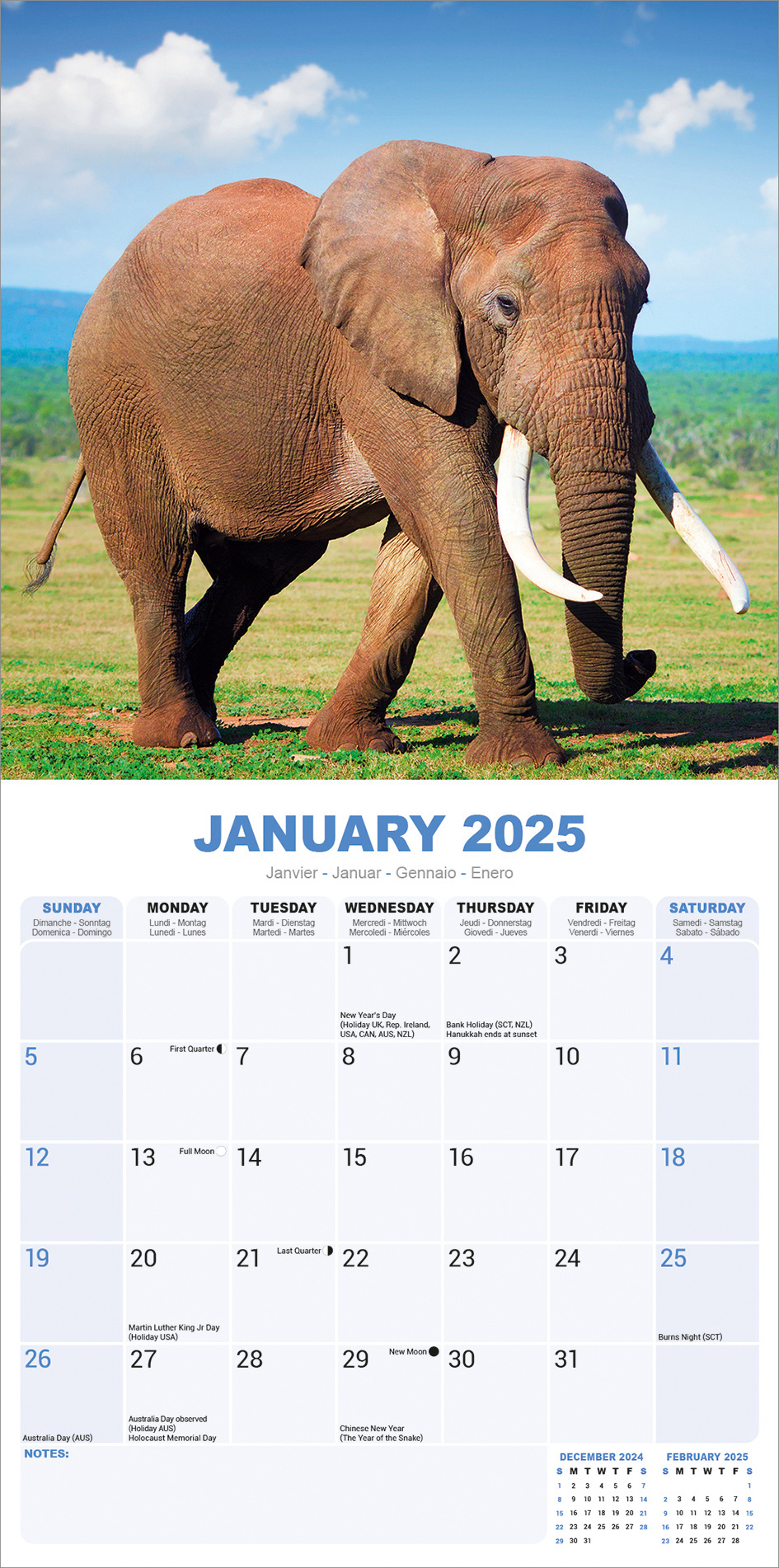Buying Elephant Calendar 2025 Easily order online