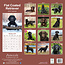 Calendrier 2025 pour le Flatcoated Retriever