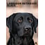 Calendario A3 nero del Labrador Retriever 2025