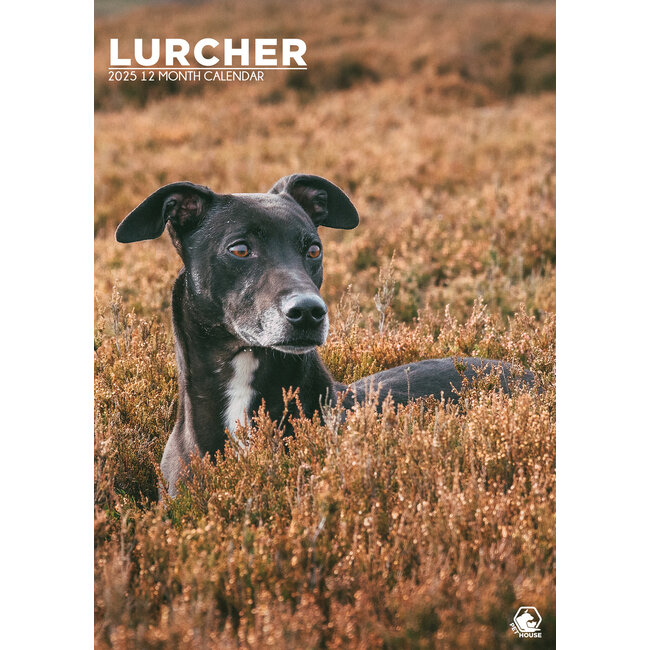 Lurcher A3 Kalender 2025
