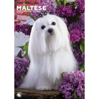 CalendarsRUs Maltese A3 Calendar 2025