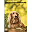 CalendarsRUs Miniatur-Dachshund A3 Kalender 2025