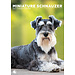 CalendarsRUs Miniatuur Schnauzer A3 Kalender 2025