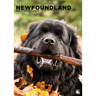 CalendarsRUs Newfoundlander A3 Kalender 2025