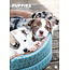 CalendarsRUs Puppies A3 Kalender 2025