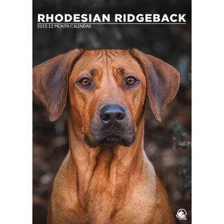 CalendarsRUs Calendario A3 Rhodesian Ridgeback 2025