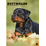 CalendarsRUs Rottweiler A3 Kalender 2025