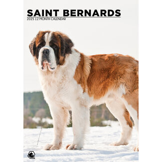 CalendarsRUs Saint Bernard A3 Calendar 2025