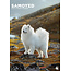 CalendarsRUs Samoyed A3 Calendar 2025