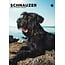 CalendarsRUs Calendario Schnauzer A3 2025