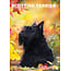 CalendarsRUs Scottish Terrier A3 Calendar 2025