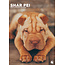 CalendarsRUs Shar Pei A3 Kalender 2025