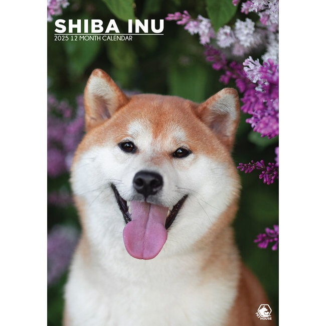 Shiba Inu A3 Calendar 2025