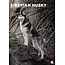 CalendarsRUs Calendario A3 Siberian Husky 2025