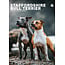 CalendarsRUs Calendario A3 Staffordshire Bull Terrier 2025