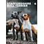 CalendarsRUs Staffordshire Bull Terrier A3 Calendar 2025