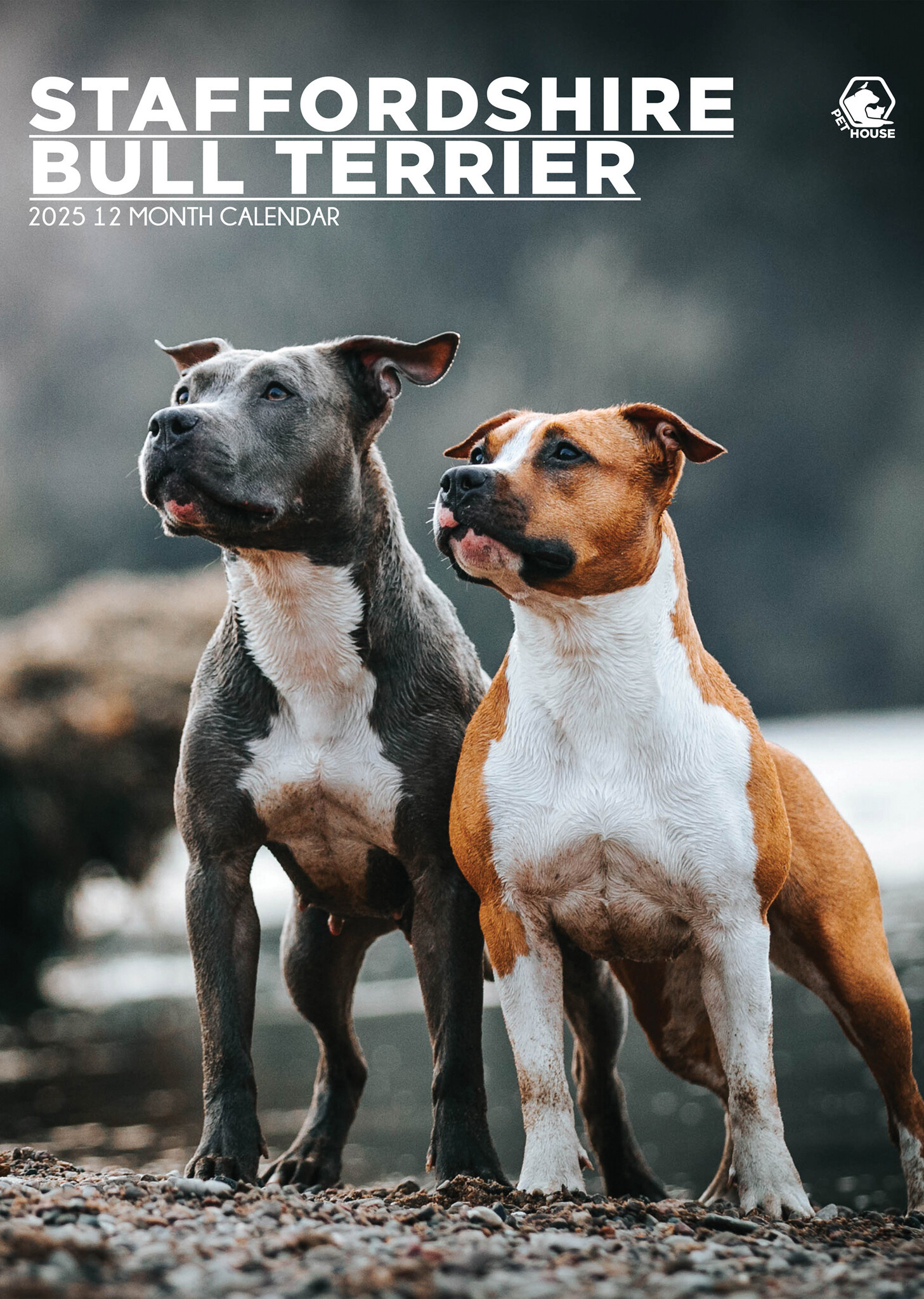 Buy Staffordshire Bull Terrier A3 Calendar 2025? Order online