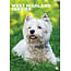 CalendarsRUs West Highland White Terrier A3 Calendar 2025