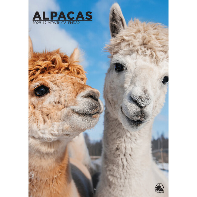 Calendario Alpaca A3 2025