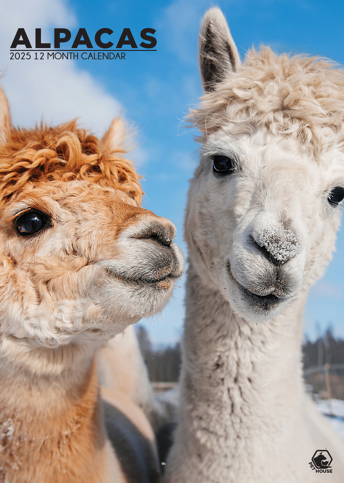 Buying Alpaca A3 Calendar 2025? Order online quickly and easily