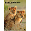 Baby Animals A3 Calendar 2025