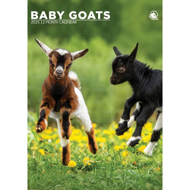 CalendarsRUs Baby Goats Calendario A3 2025