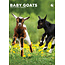 Baby Goats Calendario A3 2025