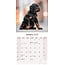 Gordon Setter Calendar 2025