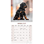 Gordon Setter Kalender 2025