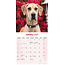 Duitse Dog Kalender 2025 (euro)