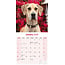 Great Dane Calendar 2025 (euro)