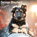 Avonside Calendario de cachorros de pastor alemán 2025