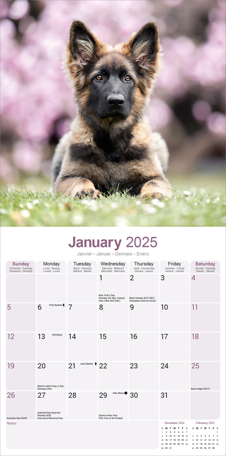 Buying German Shepherd Puppies Calendar 2025 Order easily online