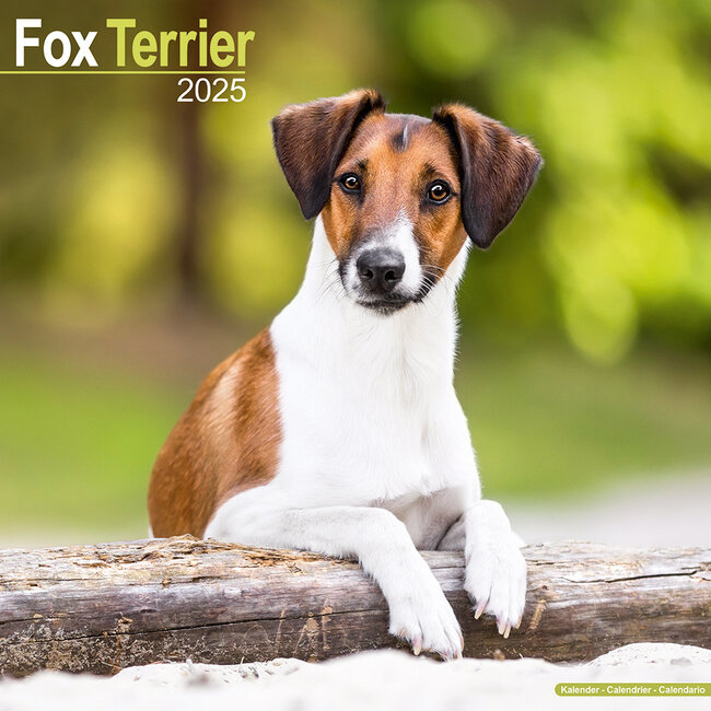 Avonside Fox Terrier Kalender 2025