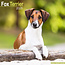 Avonside Fox Terrier Calendar 2025