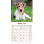 Calendario Fox Terrier 2025