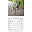 Irish Wolfhound Calendar 2025